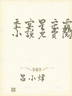 季宴星宋霜意的小说免费阅读