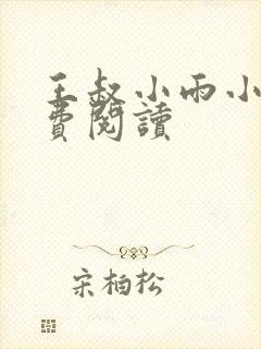 王叔小雨小说免费阅读封面