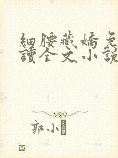 细腰藏娇免费阅读全文小说苏珞浅