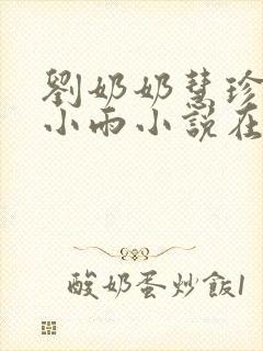 刘奶奶慧珍婆媳小雨小说在线阅读封面