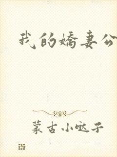 我的娇妻公务员