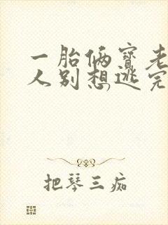 一胎俩宝老婆大人别想逃完整版