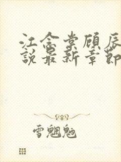 江念棠顾辰聿小说最新章节免费阅读