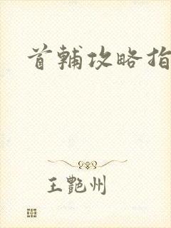 首辅攻略指南
