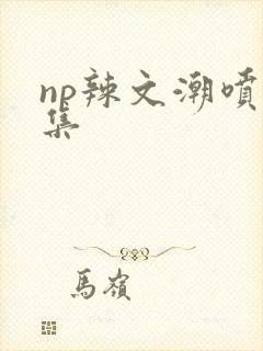 np辣文潮喷合集封面