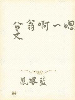 公翁啊～嗯啊h文