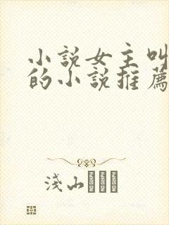 小说女主叫沈沐的小说推荐