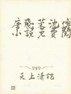 唐飞茉沈傅穿越小说免费阅读
