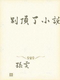 别顶了小说