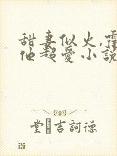 甜妻似火,霍爷他超爱小说