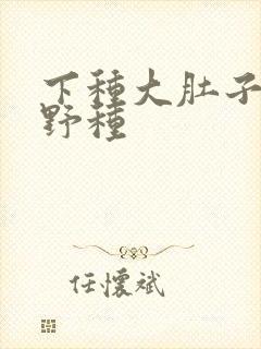 下种大肚子怀孕野种封面