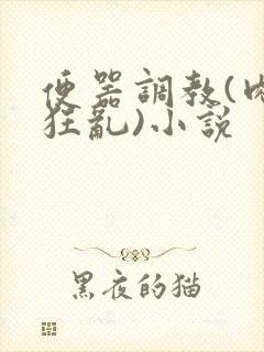 便器调教(肉体狂乱)小说封面
