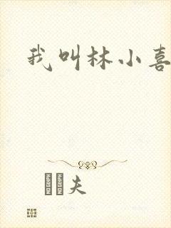 我叫林小喜17