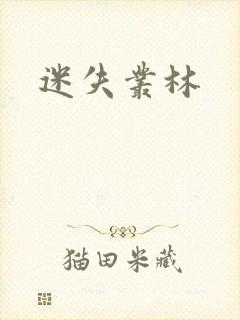 迷失丛林