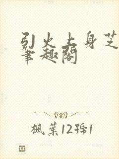 引火上身芝麻糖笔趣阁封面