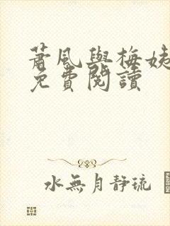 萧风与梅姨小说免费阅读
