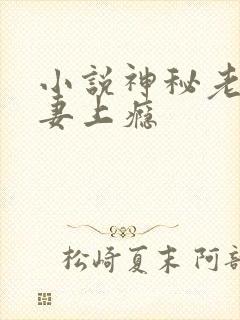 小说神秘老公宠妻上瘾封面