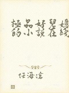 极品好儿媳秦雨的小说在线阅读无弹窗