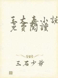 王大春小说全文免费阅读