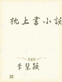 枕上书小说封面