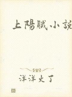 上阳赋小说封面
