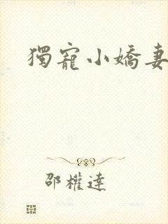 独宠小娇妻