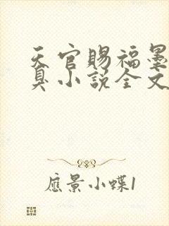 天官赐福墨香铜臭小说全文免费阅读