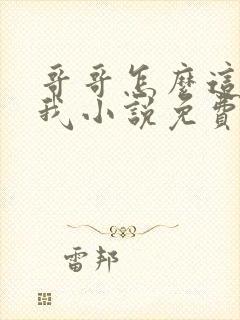 哥哥怎么这样看我小说免费阅读无弹窗