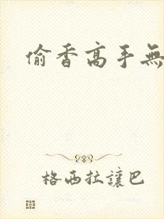 偷香高手无删减