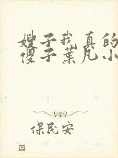 嫂子我真的不是傻子叶凡小说 原名封面