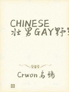 CHINESE壮男GAY野战强迫TUBE