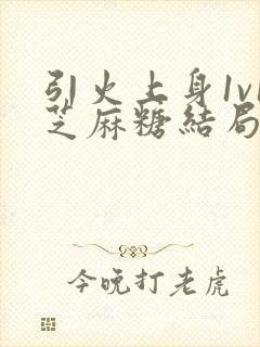 引火上身1v1芝麻糖结局封面