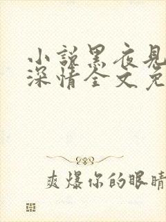 小说黑夜见过他深情全文免费阅读