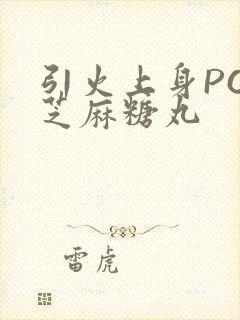 引火上身POP芝麻糖丸