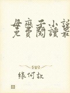 母恋子小说全文免费阅读最新章节封面