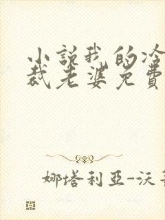 小说我的冷艳总裁老婆免费阅读