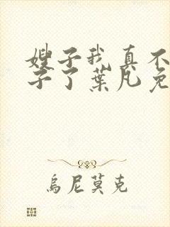 嫂子我真不是傻子了叶凡免费