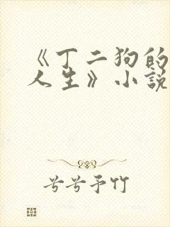 《丁二狗的逍遥人生》小说