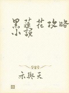 黑莲花攻略手册小说