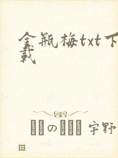 金瓶梅txt下载