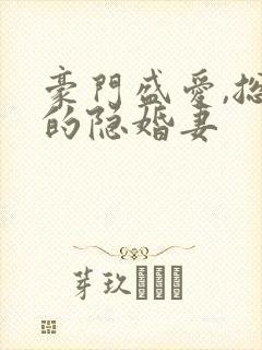 豪门盛爱,总裁的隐婚妻