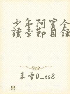 少年阿宾全文阅读章节目录
