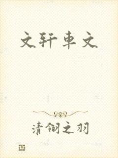 文轩车文