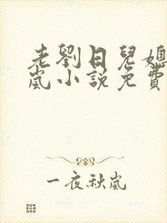 老刘日儿媳妇张岚小说免费阅读
