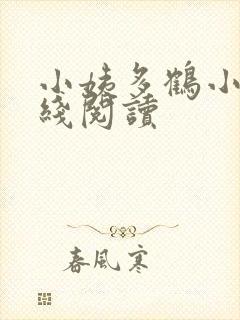 小姨多鹤小说在线阅读