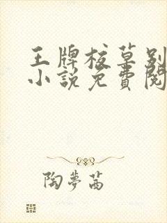 王牌校草别惹我小说免费阅读封面