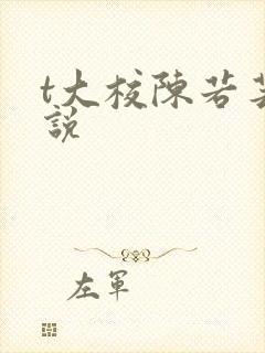 t大校陈若芸小说