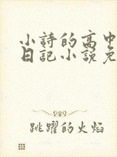 小诗的高中成长日记小说免费阅读