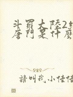 斗罗大陆2绝世唐门是什么封面