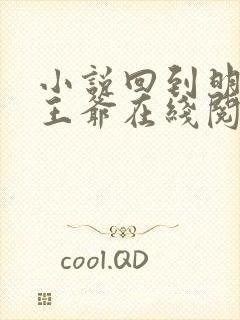小说回到明朝当王爷在线阅读